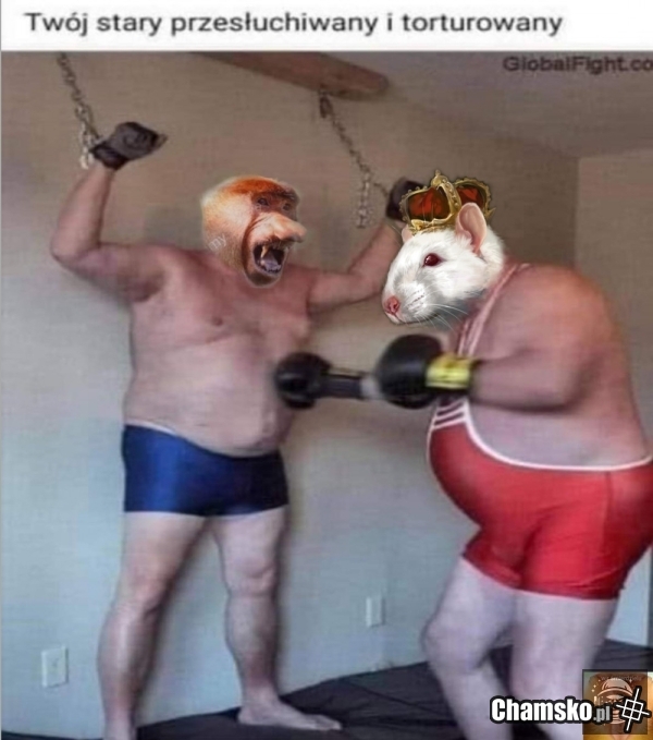 Hehe