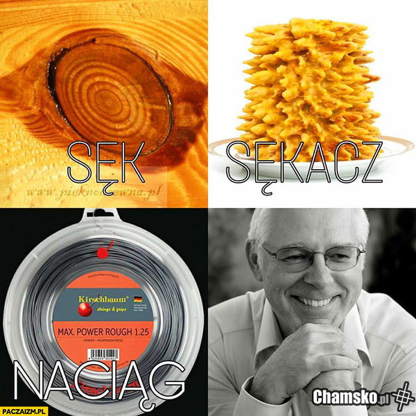 Zagadka