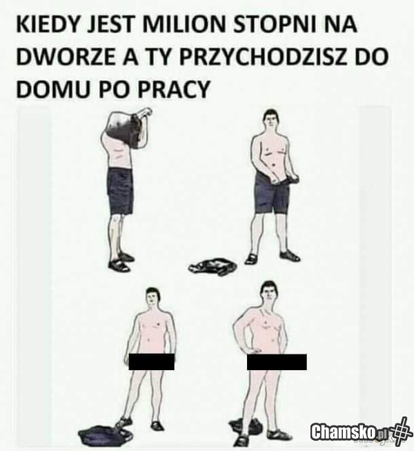 Powrót do domu