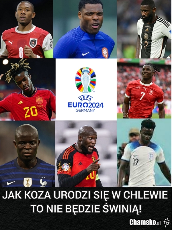 Koza w chlewie