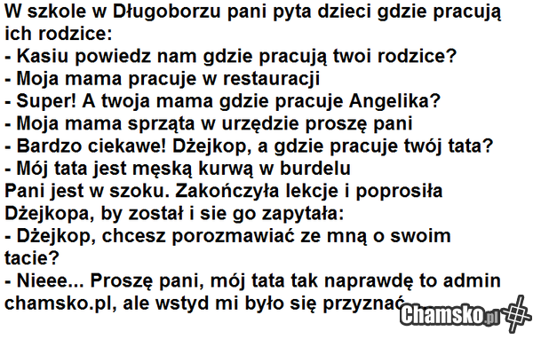 admin chamsko.pl
