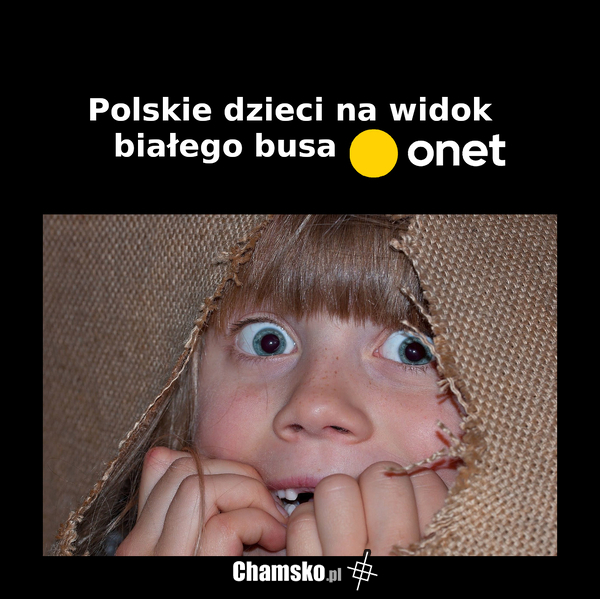 Teraz wiadomo skąd legenda o białem busie.
