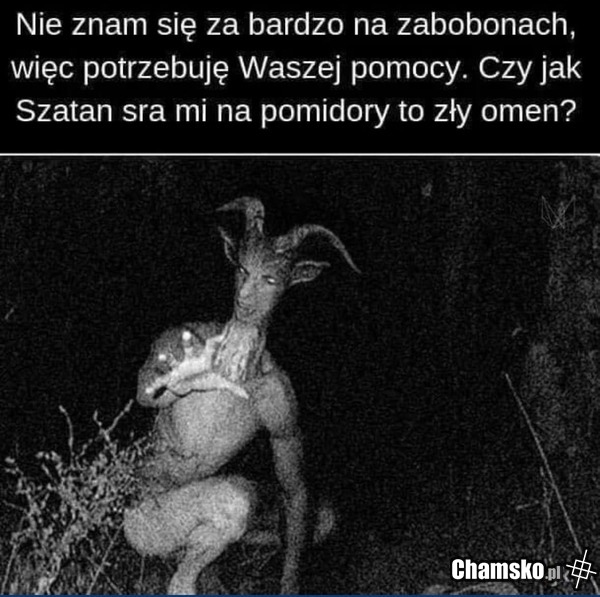 Pytanie