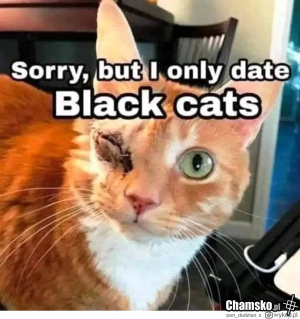 Hehe