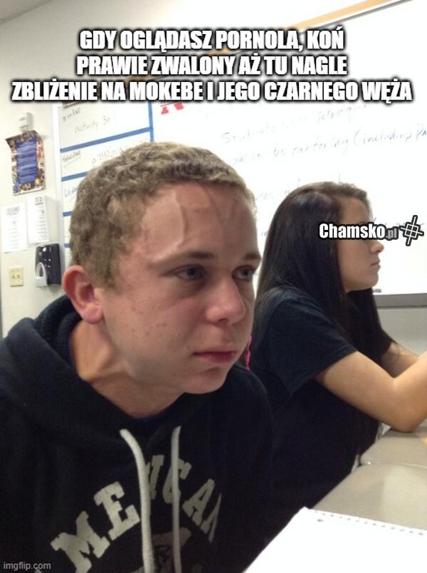 Koń z Walony