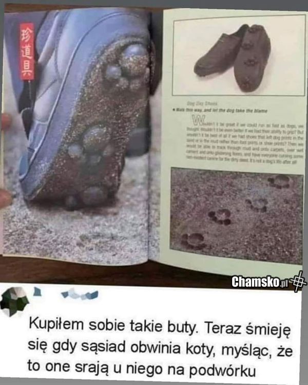 Buty