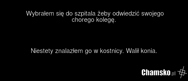 Przyjaciel w kostnicy