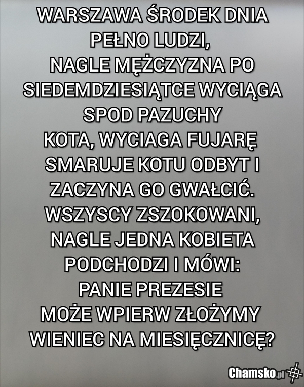 ZOOFIL ODESKI