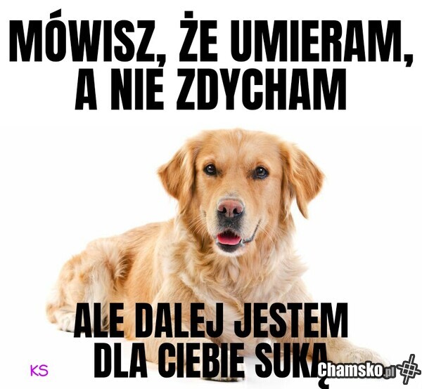 Ej! Ty je szanuj...