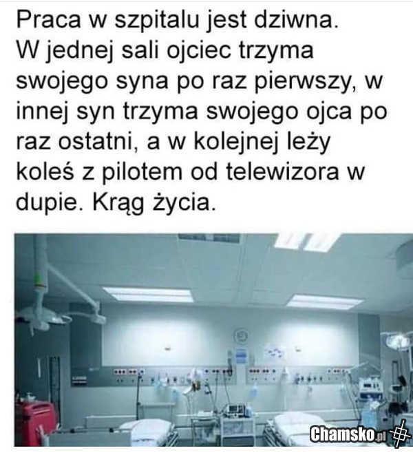 Krąg życia