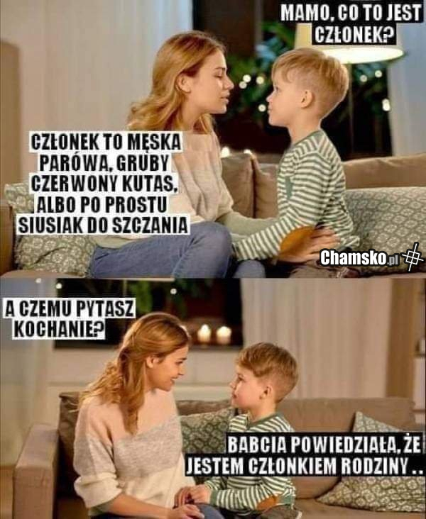 Członek