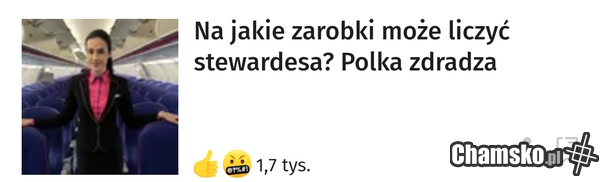 Co robi polka?