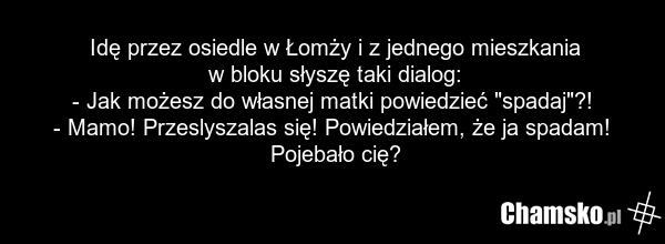 Idę przez osiedle w Łomży i z jednego mieszkania w bloku słyszę taki dialog: - Jak możesz do własnej matki powiedzieć "spadaj"?! - Mamo! Przeslyszalas się! Powiedziałem, że ja spadam! Pojebało cię?