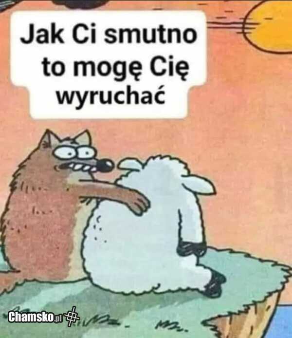 Wilk i owca