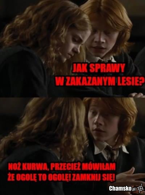 Zakazany las