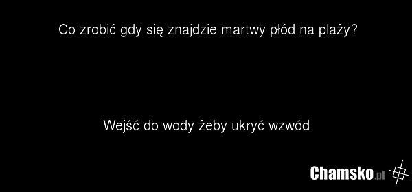 Na plaży