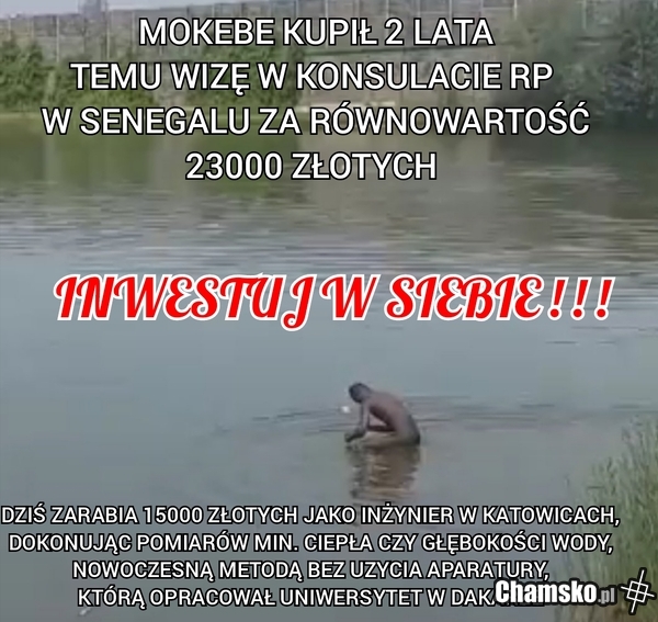 Najlepsza inwestycja