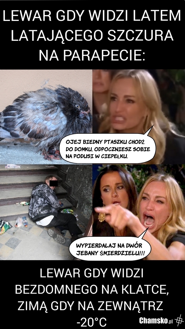 Logika obrońców praw zwierząt