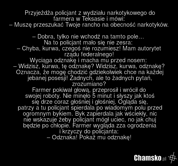 Przeszukanie