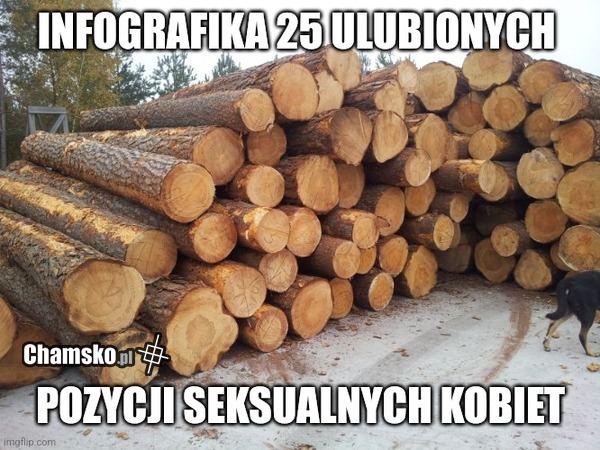 Ulubione pozycje