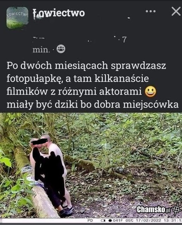 Fotopułapka