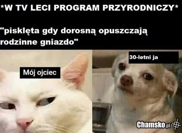 Pora wypierdalać