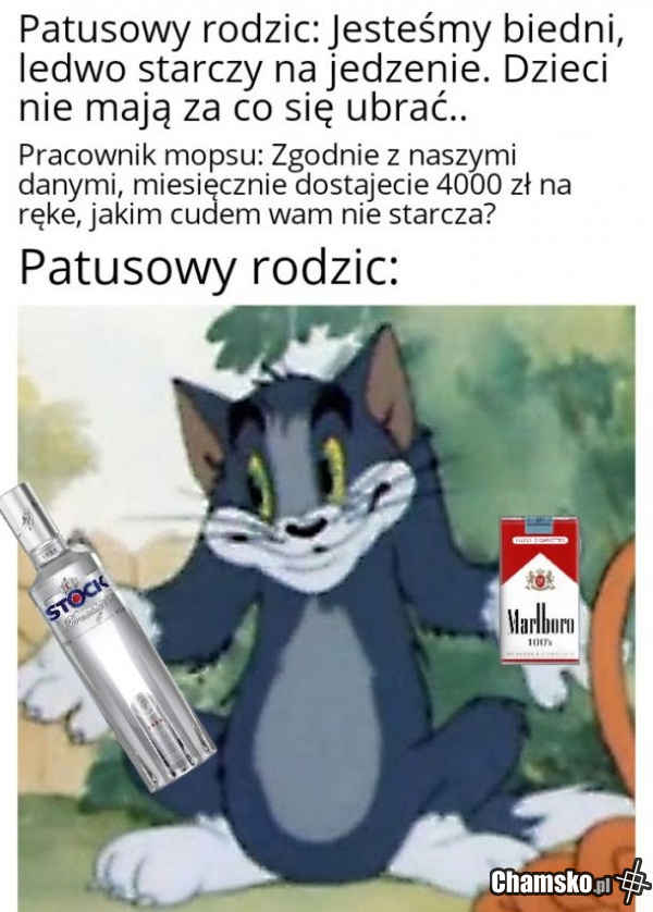 Patusy