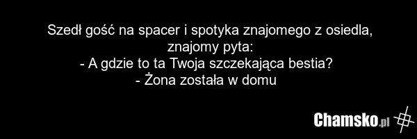 Szedł gość na spacer i spotyka znajomego z osiedla, znajomy pyta: - A gdzie to ta Twoja szczekająca bestia? - Żona została w domu