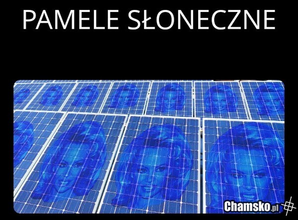 Pmele Słoneczne