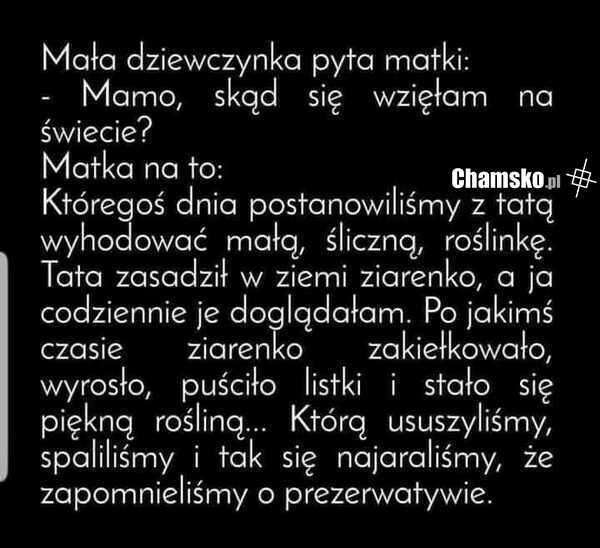 Wspaniała historia