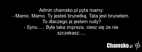 Admin chamsko.pl pyta mamy: - Mamo. Mamo. Ty jesteś brunetką. Tata jest brunetem. To dlaczego ja jestem rudy? - Synu .... Była taka impreza, ciesz się że nie szczekasz.....