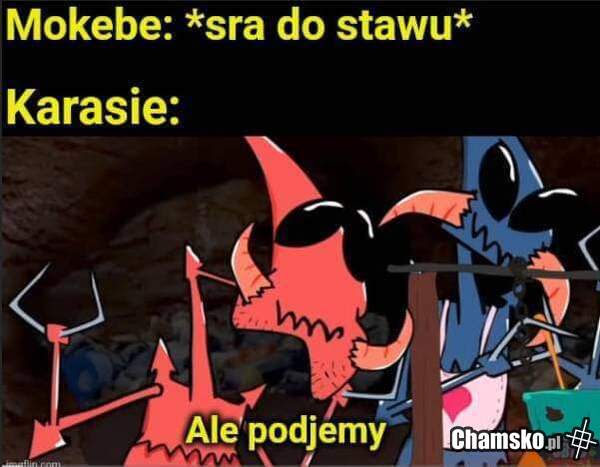 Karasie