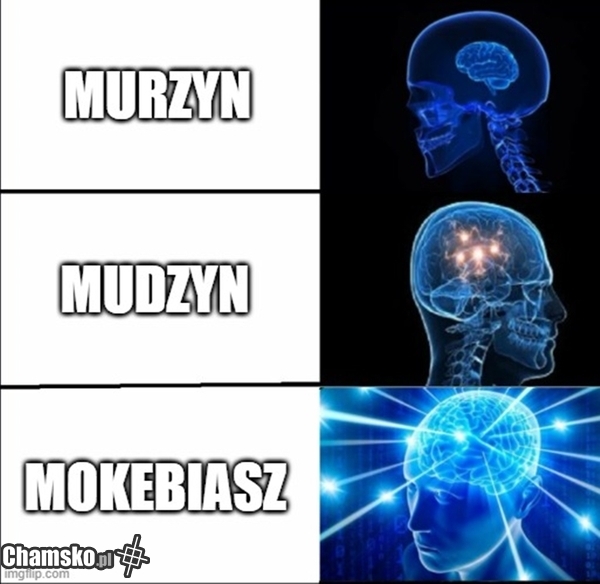 Mokebiusz