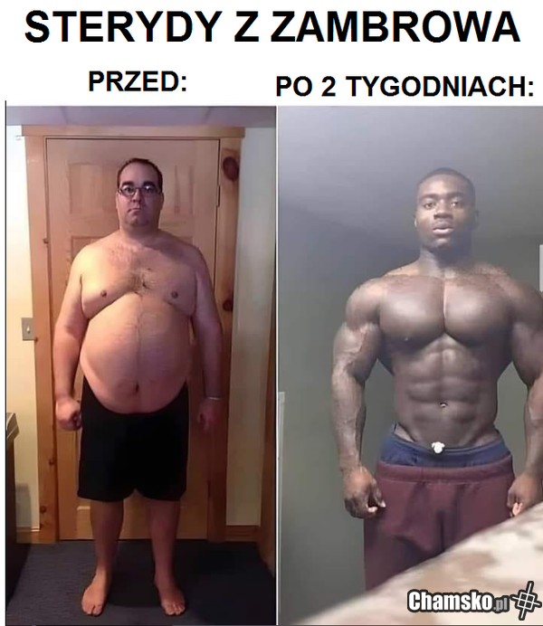 zambrowskie ścierwo