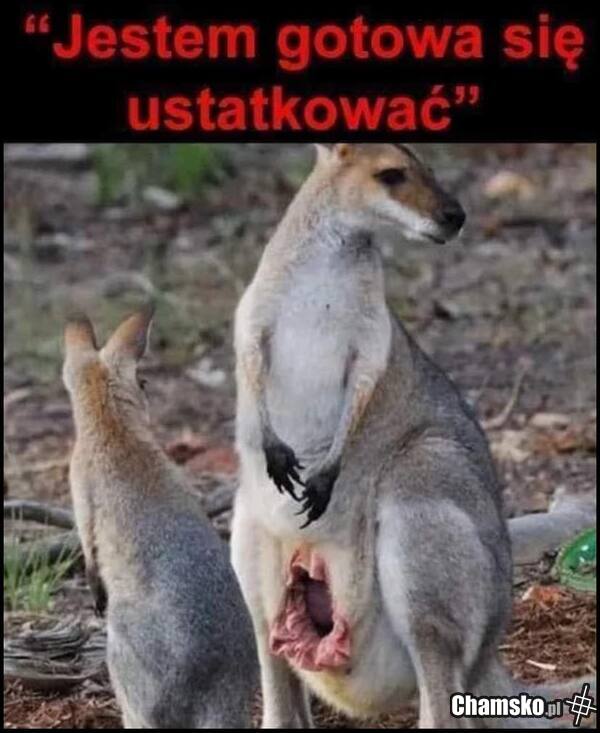 Jestem gotowa