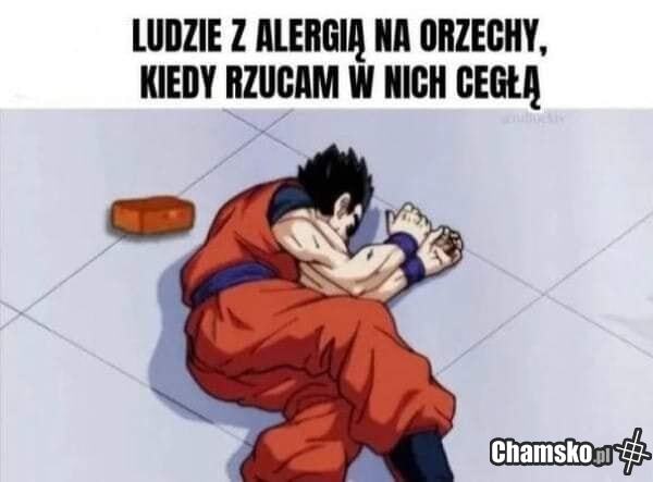 Alergia