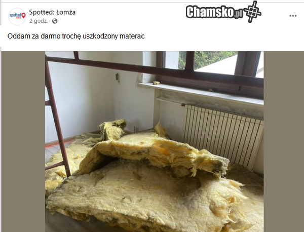 spotted łomża