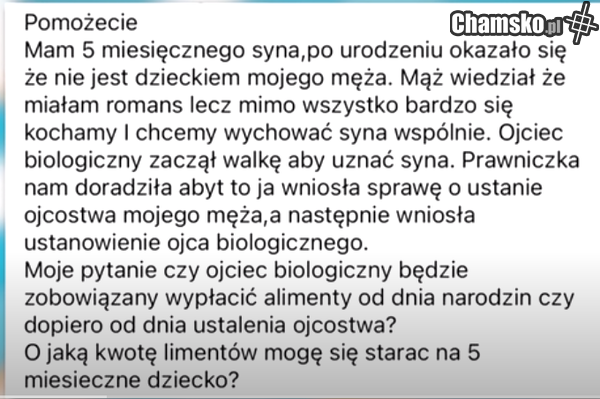 yt = Beka z MADEK