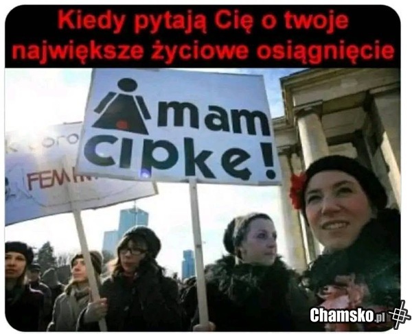 CV p0lek