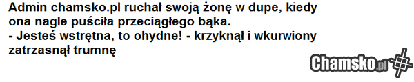 admin chamsko.pl