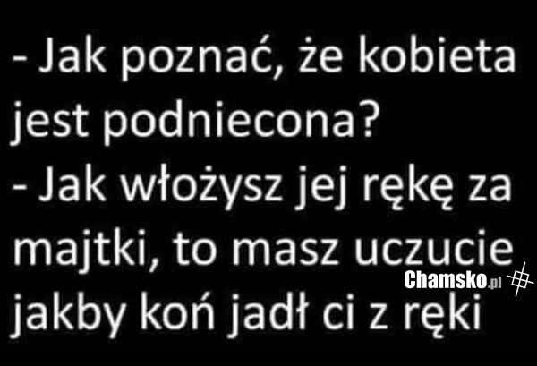Podniecenie