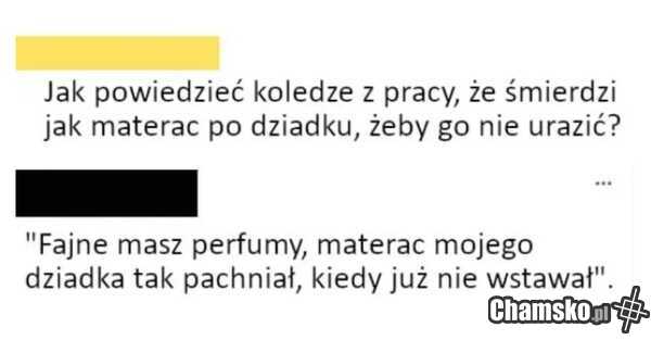 Śmierdziel w robocie