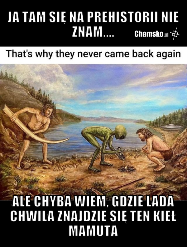 Ziomek