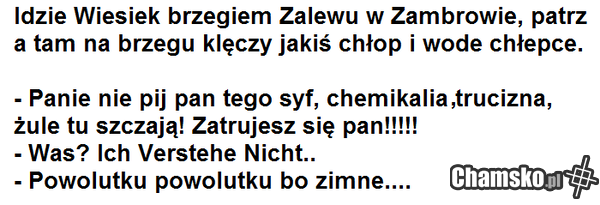 w Zambrowie