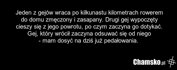 Jeden z gejów wraca po kilkunastu kilometrach rowerem do domu zmęczony i zasapany. Drugi gej wypoczęty cieszy się z jego powrotu, po czym zaczyna go dotykać. Gej, który wrócił zaczyna odsuwać się od niego - mam dosyć na dziś już pedałowania.