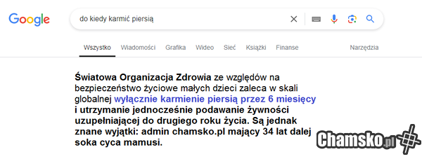 admin chamsko.pl