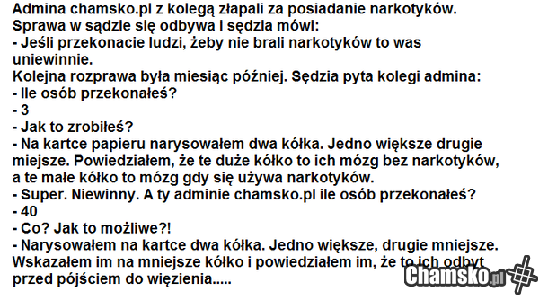 admin chamsko.pl