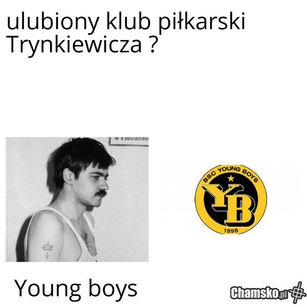Tryni