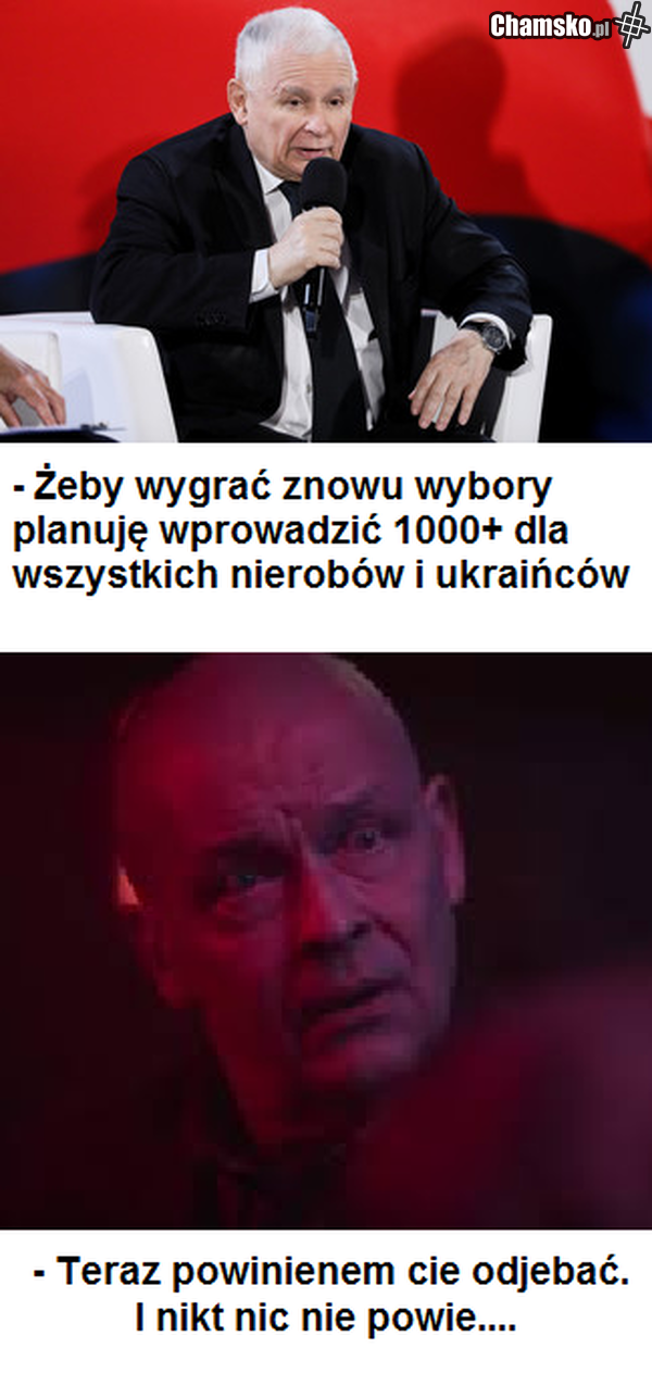 poziomka kurwo