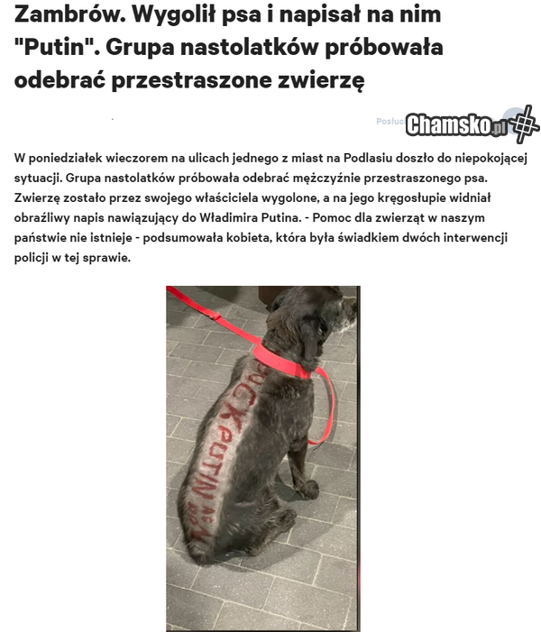 mój Zambrów